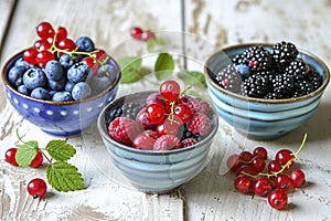 Berrylicious trio: Blueberries, red currants, and blackberries showcased in three bowls on a rustic white backdrop