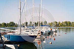 berth with sailboats and ships on river in front of trees in sunny yachts club