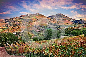 Bertinoro, FC, Emilia Romagna, Italy: landscape at dawn of the hills with vineyards photo