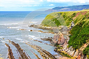 Berwickshire Coastal Path, view on the Cove Bay, Scotland, UK