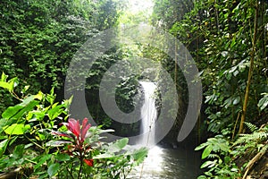  Besi Kalung  waterfall at Tabanan regency of Bali - Indonesia