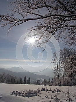 At winter time in Poland