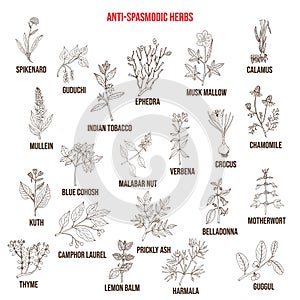 Best antispasmodic herbs collection