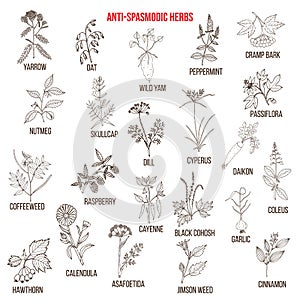 Best antispasmodic herbs collection photo