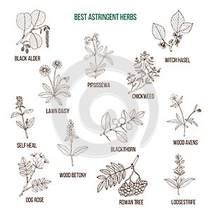 Best astridgent herbs