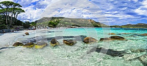 Best beaches of Corsica island - beautiful scenic Tamaricciu. France