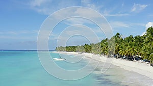 The best beaches in the world. Cuba palm beach and sea background. No person, copy space.