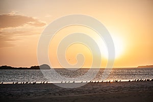 Blues, brown, and water beautiful escene small twon coche margarita island photo