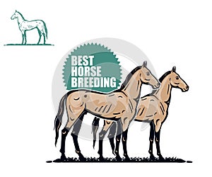 BEST BREEDING HORSE LOGO