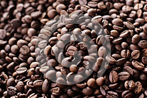 the best coffee beans
