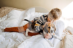 Best Dog Breeds for Kids, Good Family Dogs. Introducing Puppies and Children. Cute little Beagle puppy and kid boy