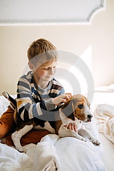 Best Dog Breeds for Kids, Good Family Dogs. Introducing Puppies and Children. Cute little Beagle puppy and kid boy
