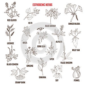 Best estrogenic herbs collection photo