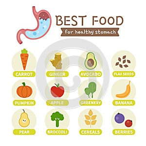 Best food for stomach