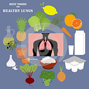 Best foods for healthy lungs vector illustration