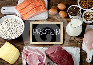 Best Foods High in Protein