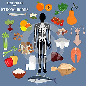 Best foods for strong bones vector illustration