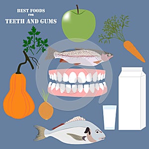 Best foods for teeth and gums vector illustration