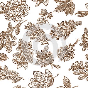 Best Fragrant Herbs seamless vector sketch