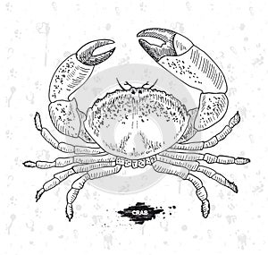 Best fresh Crab. Seafood. Vector illustration emblem