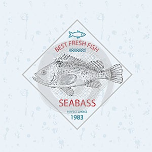 Best fresh fish seabass. Vector illustration emblem or logo template.