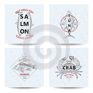 Best fresh fish Tuna, Salmon, Seabass, Crab. Vector illustration