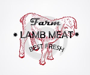 Best Fresh Meat. Farm. Lamb. Vector illustration logo