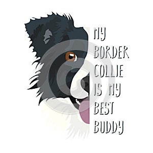 Best Friend Border Collie