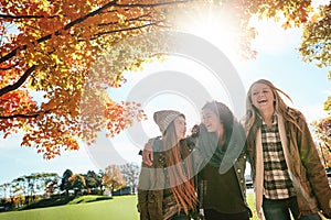 Best friends make great days unforgettable. a group of young friends enjoying a day at the park together.