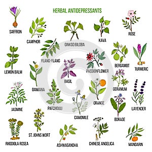 Best herbal antidepressants