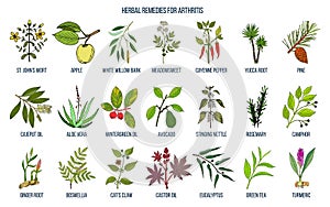 Best herbal remedies for arthritis