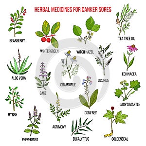 Best herbal remedies for canker sores photo