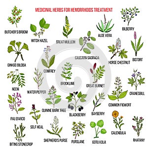 Best herbal remedies for hemorrhoids