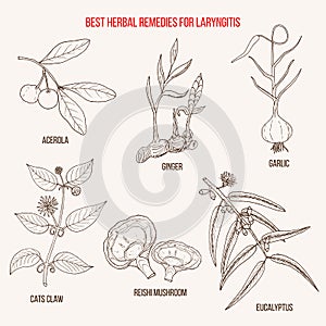 Best herbal remedies for laryngitis