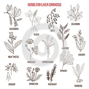 Best herbal remedies for liver cirrosis photo