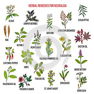 Best herbal remedies for neuralgia