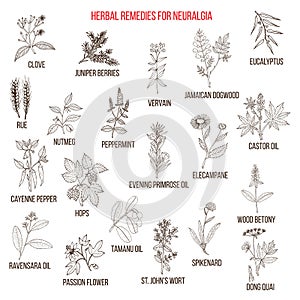 Best herbal remedies for neuralgia