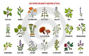 Best herbs for anxiety and panic attacks