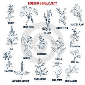 Best herbs for mental clarity