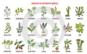 Best herbs for the treatment of anorexia photo