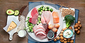 Best High Protein Foods