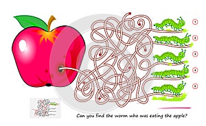 Best labyrinths. Can you find the worm who was eating the apple? Logic puzzle game. Brain teaser book with maze. Kids activity