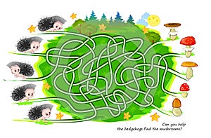 Best labyrinths. Can you help the hedgehogs find the mushrooms? Logic puzzle game. Brain teaser book with maze. Kids activity