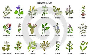 Best laxative herbs photo