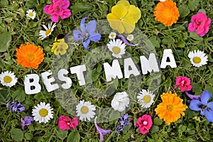 Best Mama on flower meadow