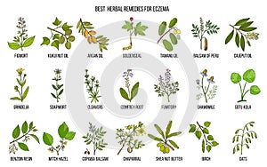 Best medicinal herbs for eczema.