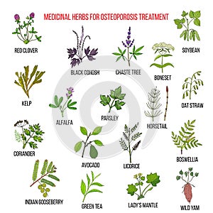 Best medicinal herbs for osteoporosis