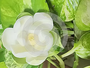 Best moment in this night