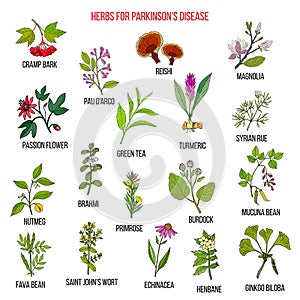 Best natural herbs for parkinson disease