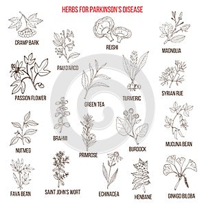 Best natural herbs for parkinson disease